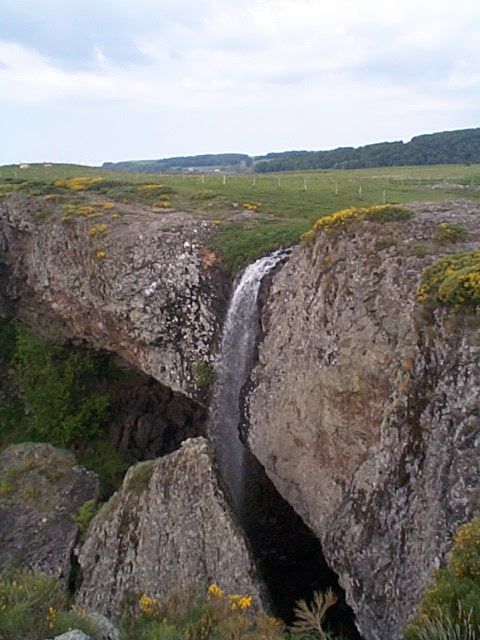 Dcp01510.jpg
