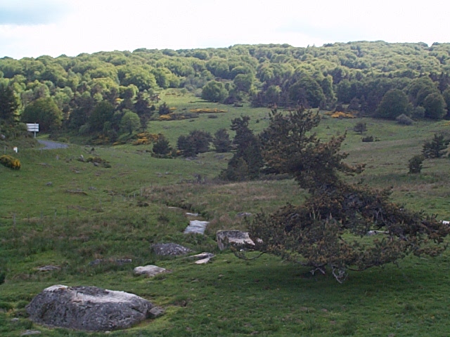 DCP01502.JPG