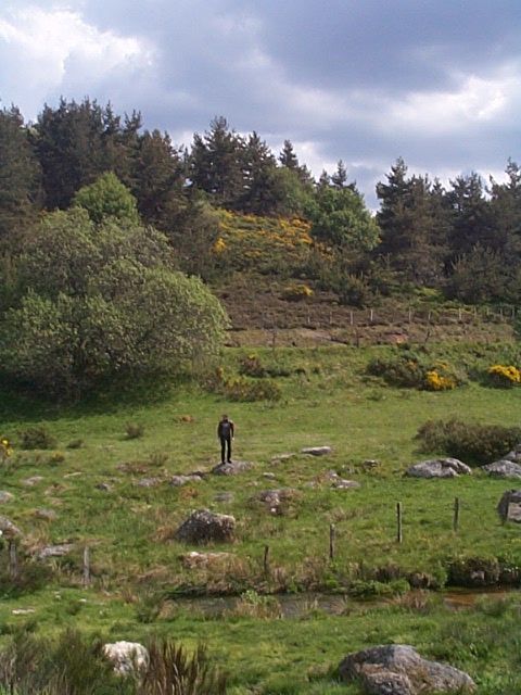 Dcp01498.jpg
